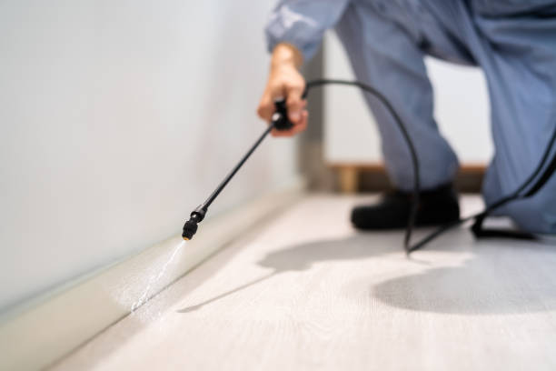 Licensed Pest Control service in Nashville, MI - Show Me Pest Control